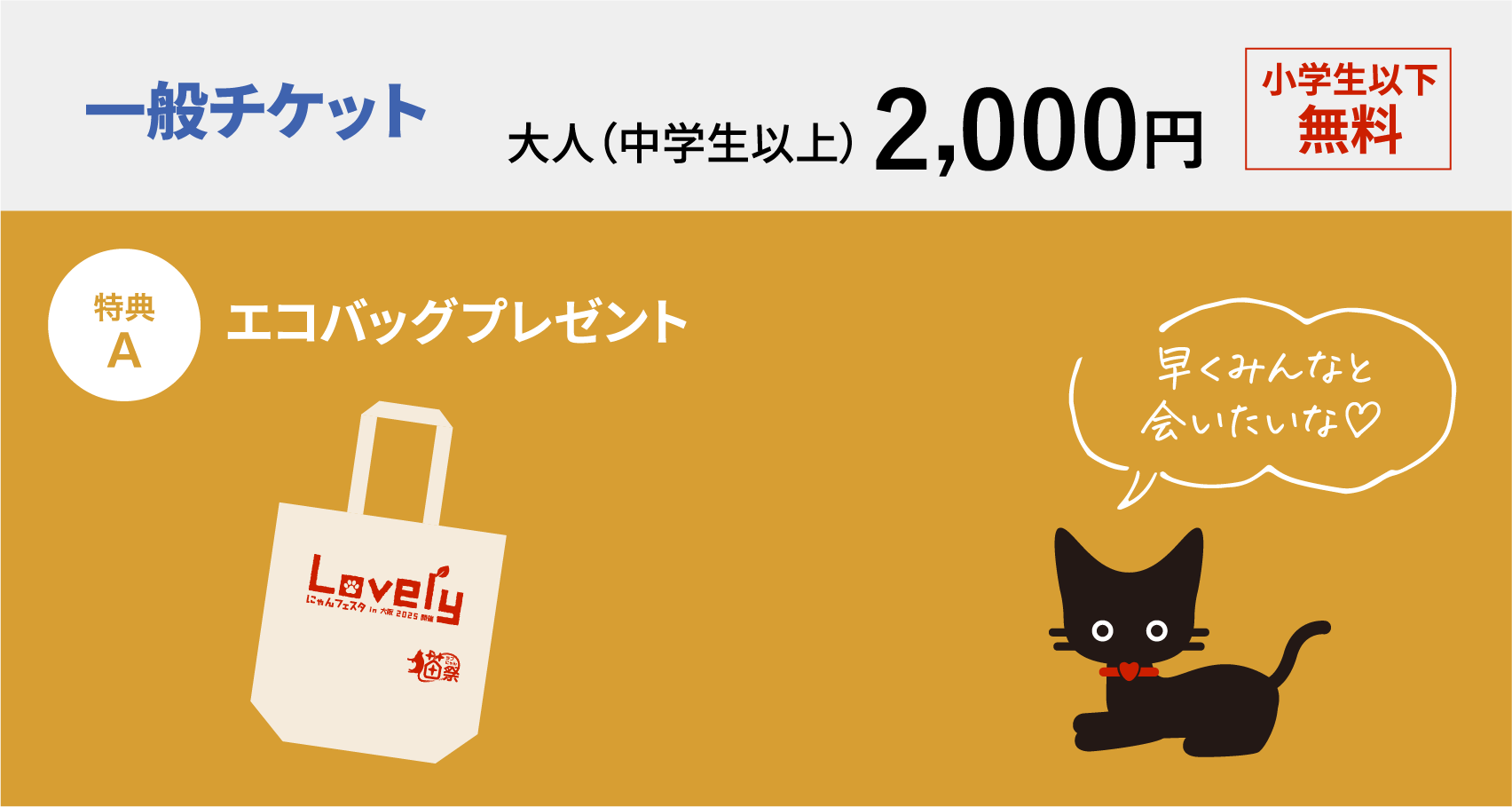 一般チケット大人（中学生以上）2,000円