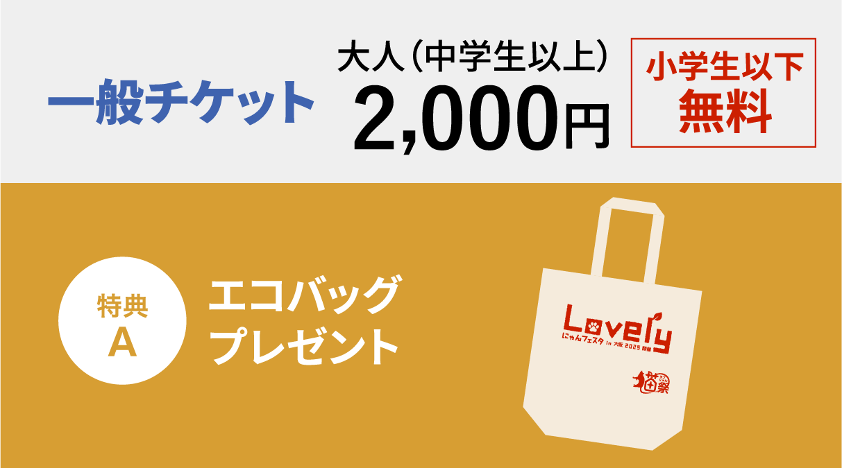 一般チケット大人（中学生以上）2,000円