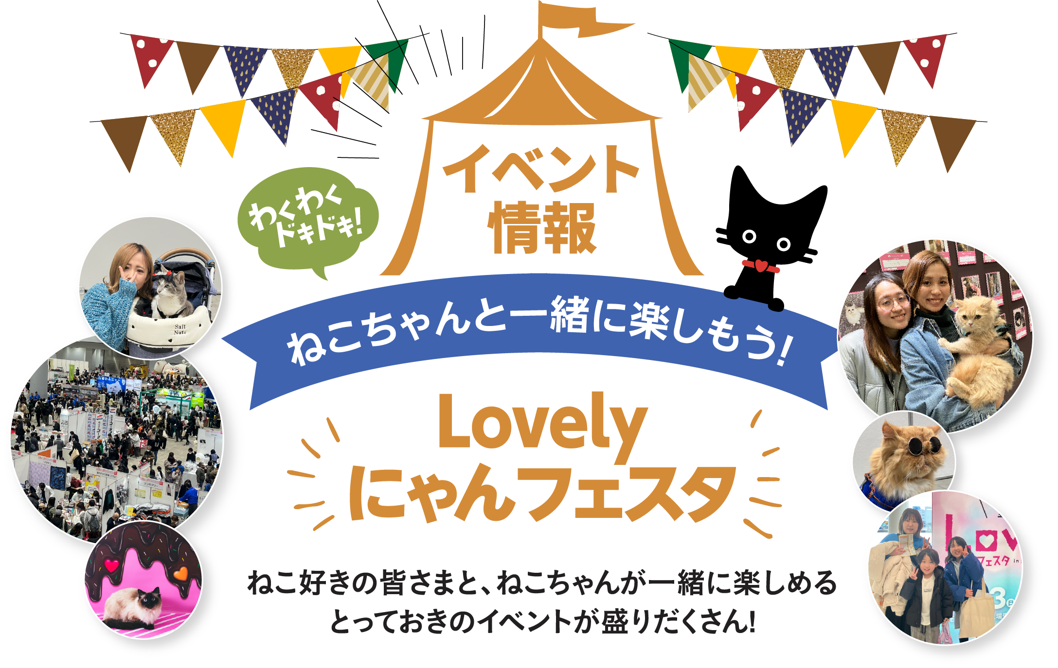 イベント情報　ねこちゃんと一緒に楽しめる体験型Lovelyにゃんフェスタ