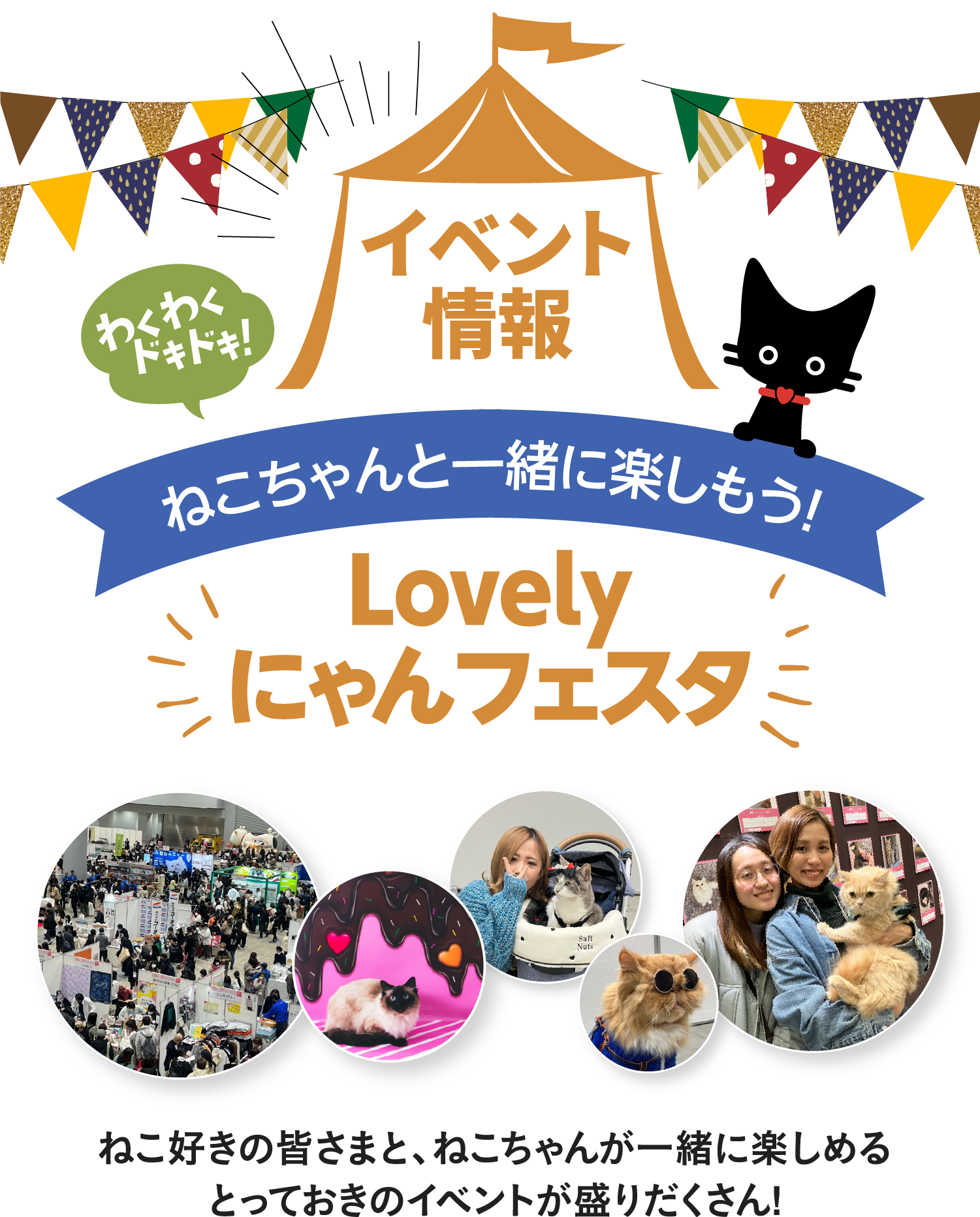 イベント情報　ねこちゃんと一緒に楽しめる体験型Lovelyにゃんフェスタ