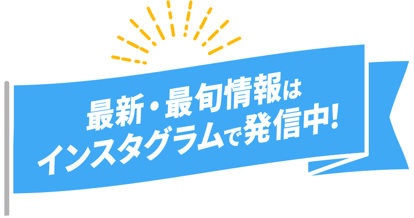 最新最旬情報はインスタグラムで発信中！