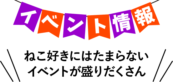 イベント情報、ねこ好きにはたまらなイベントが盛りだくさん