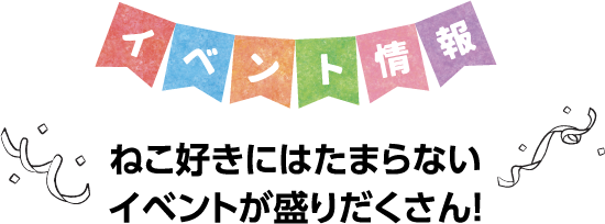 イベント情報、ねこ好きにはたまらなイベントが盛りだくさん