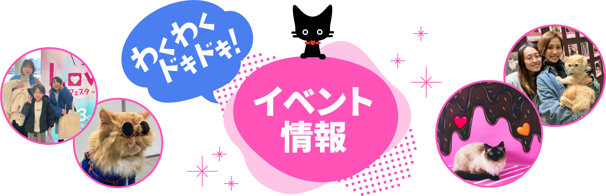 Lobelyにゃんフェス イベント一覧