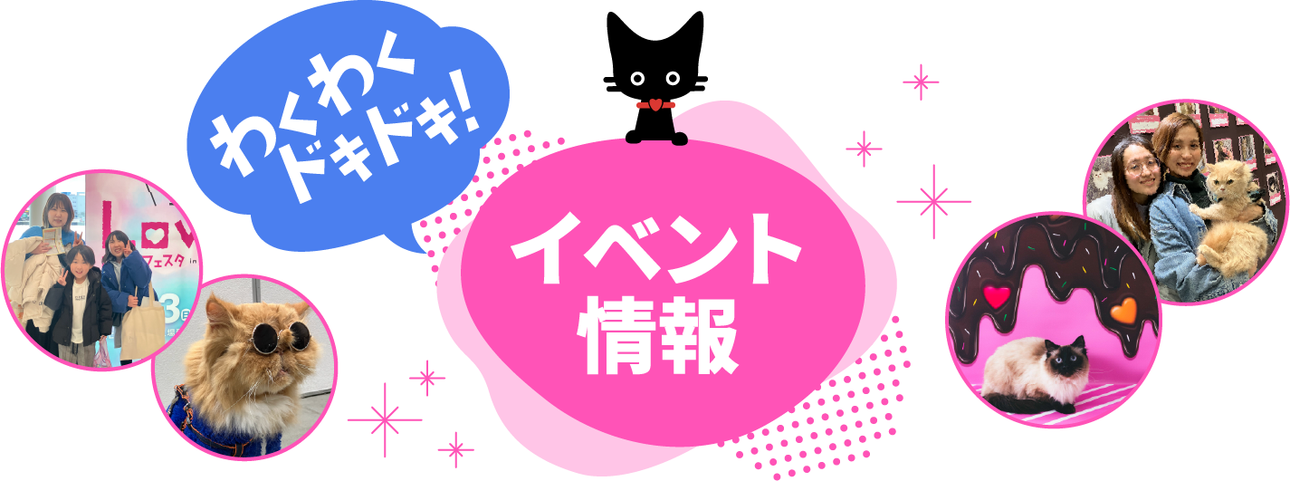 Lobelyにゃんフェス イベント一覧