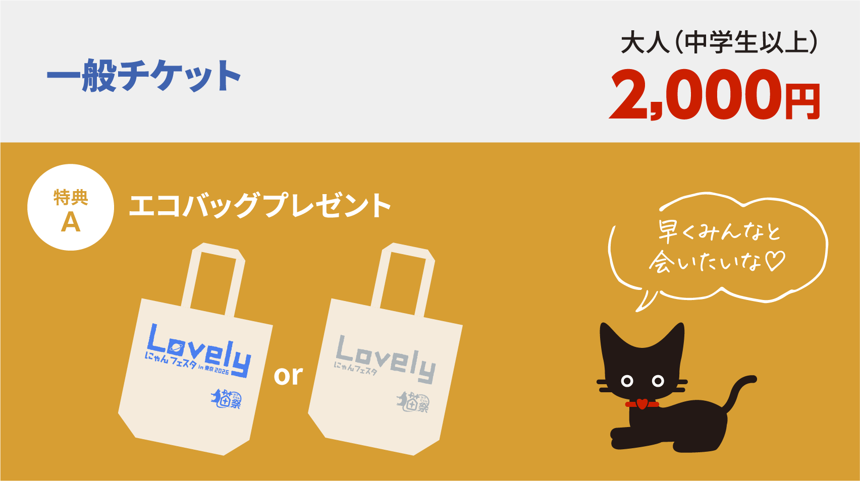 一般チケット大人（中学生以上）2,000円