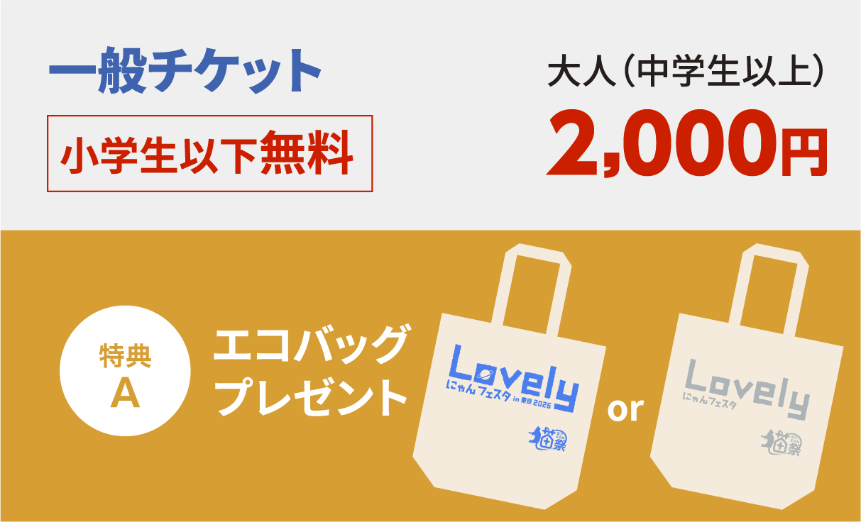 一般チケット大人（中学生以上）2,000円