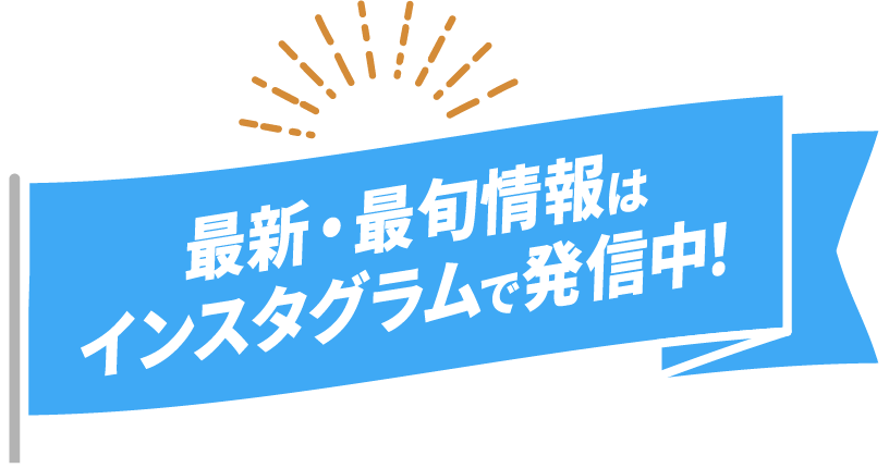 最新最旬情報はインスタグラムで発信中！